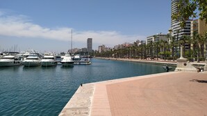 A marina with several yachts docked, a waterfront promenade with palm trees, and modern buildings in the background.