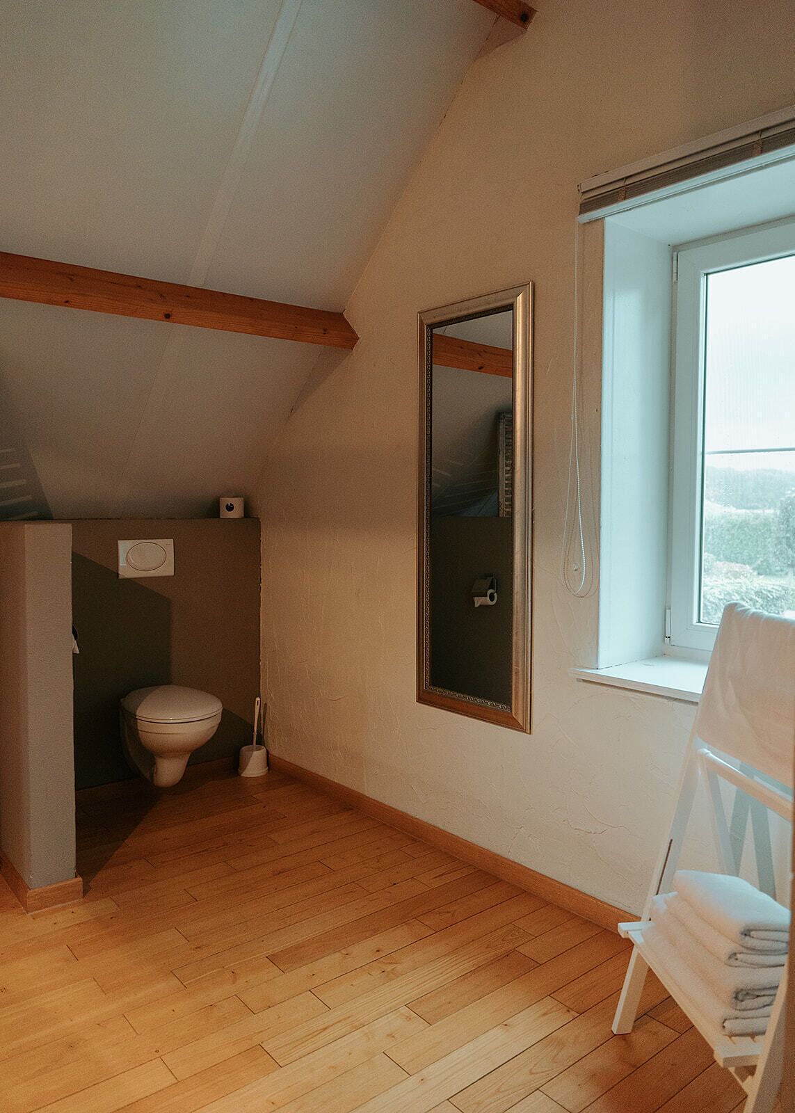 junior suite | bathroom | shower, free toiletries, hair dryer, towels