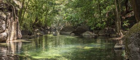 A serene river surrounded by dense forest and large rocks.