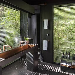 Regadera, amenidades de baño ecológicas, secadora de cabello, toallas