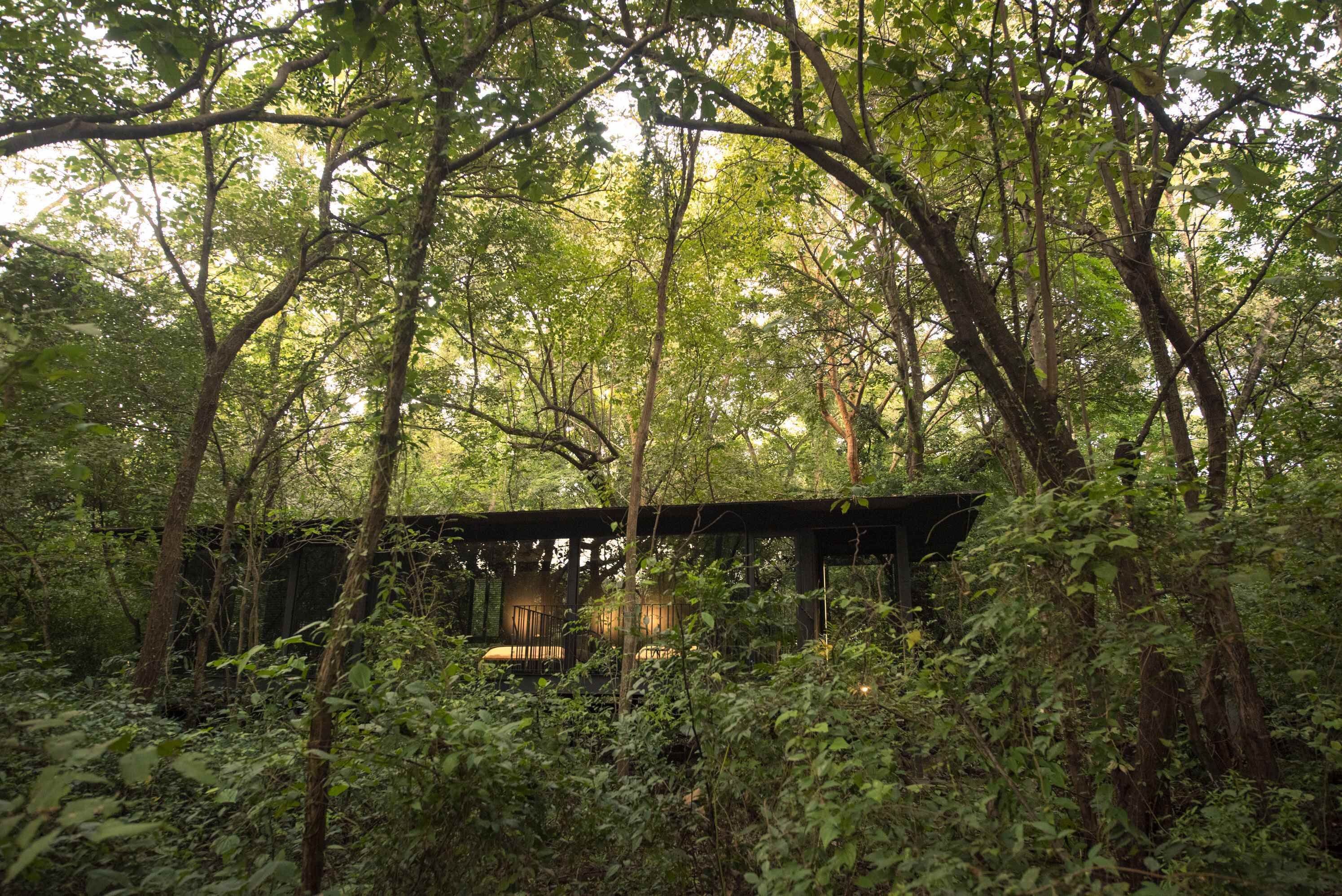 Una estructura rústica de madera rodeada de un bosque denso.