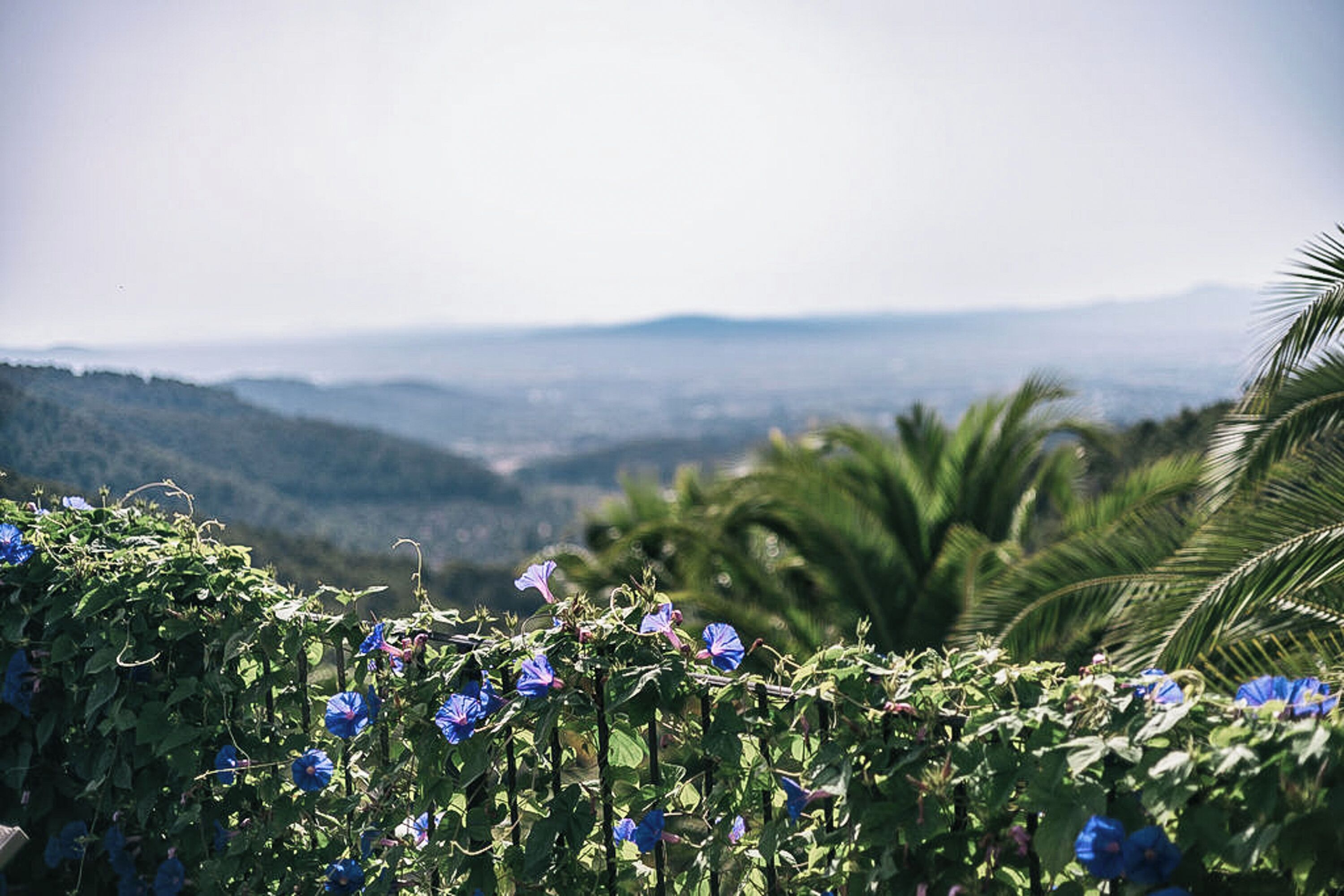 Photo - Posada del Marqués I A Slow Design Hotel
