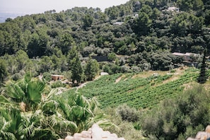 Utsikt från boendet