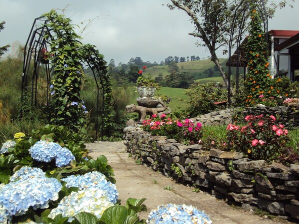 Property grounds - Guayabo Lodge (Santa Cruz de Turrialba)