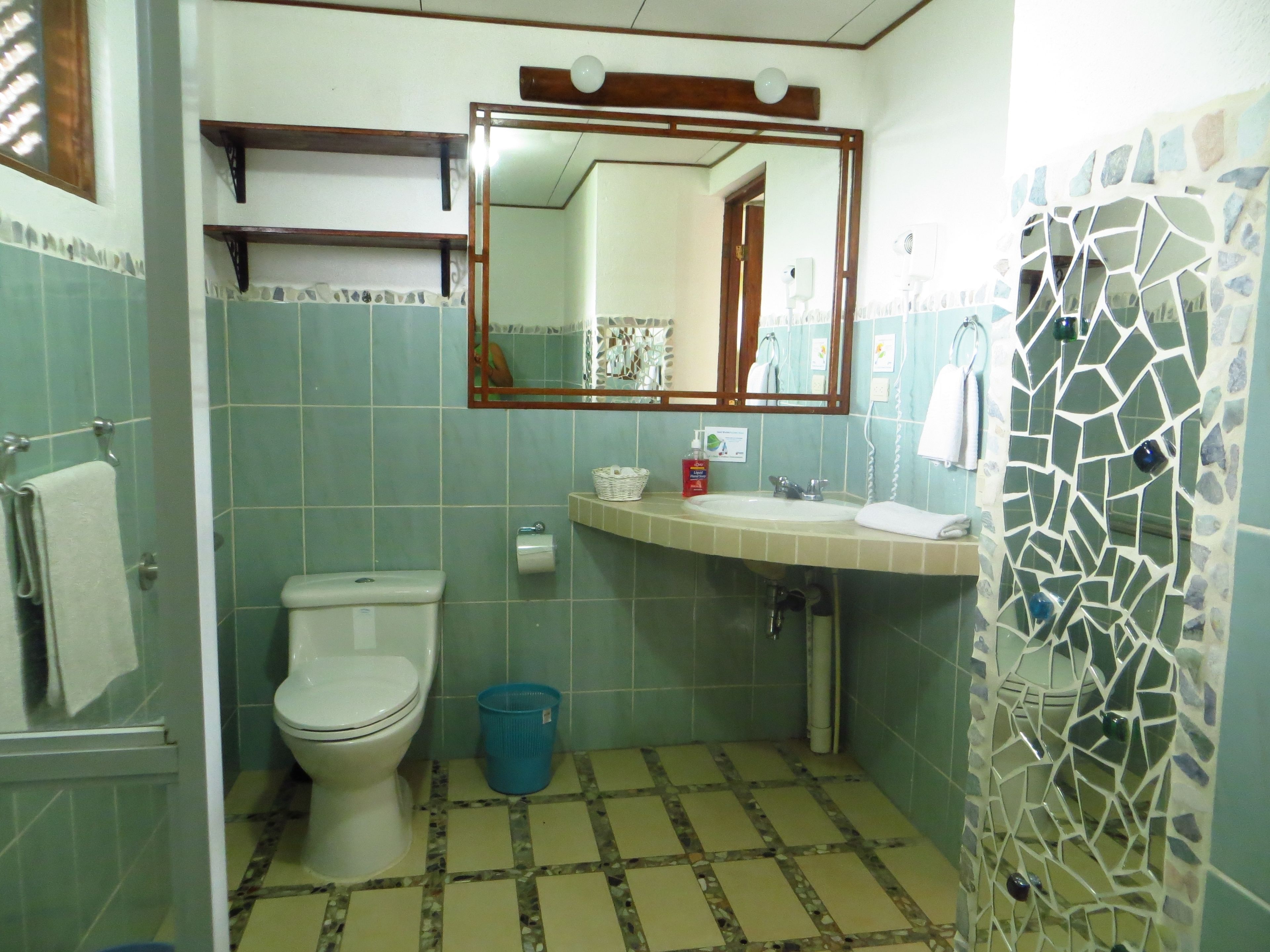 standard room | bathroom | shower, free toiletries, hair dryer, towels