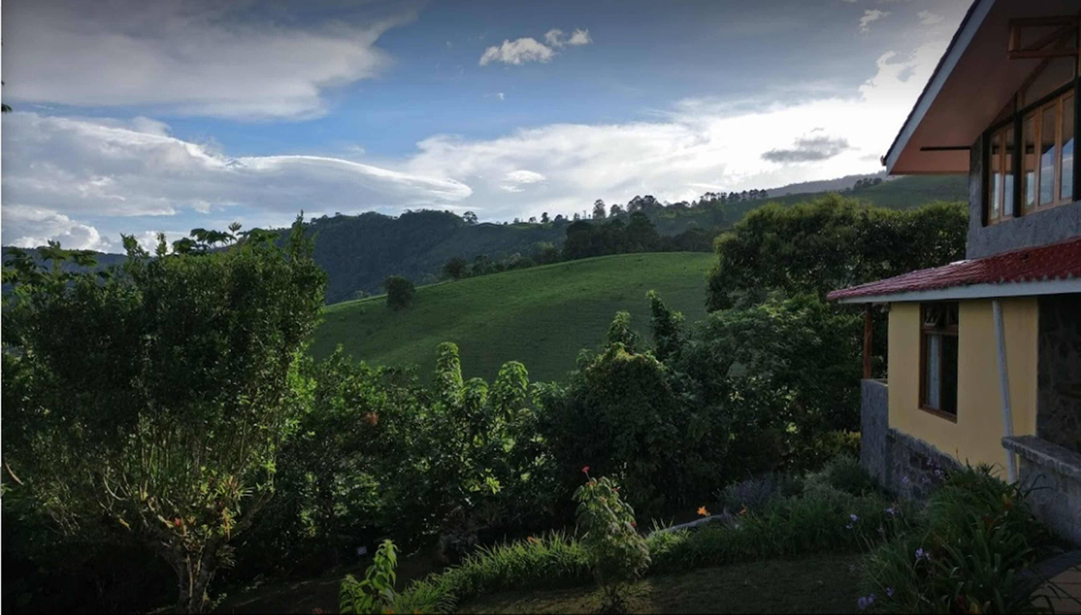 A house with a view of a green hill and trees.