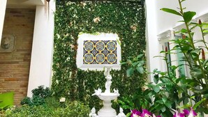 Un estrecho patio con una pared blanca cubierta de hiedra verde, una fuente decorativa de azulejos y plantas en macetas.