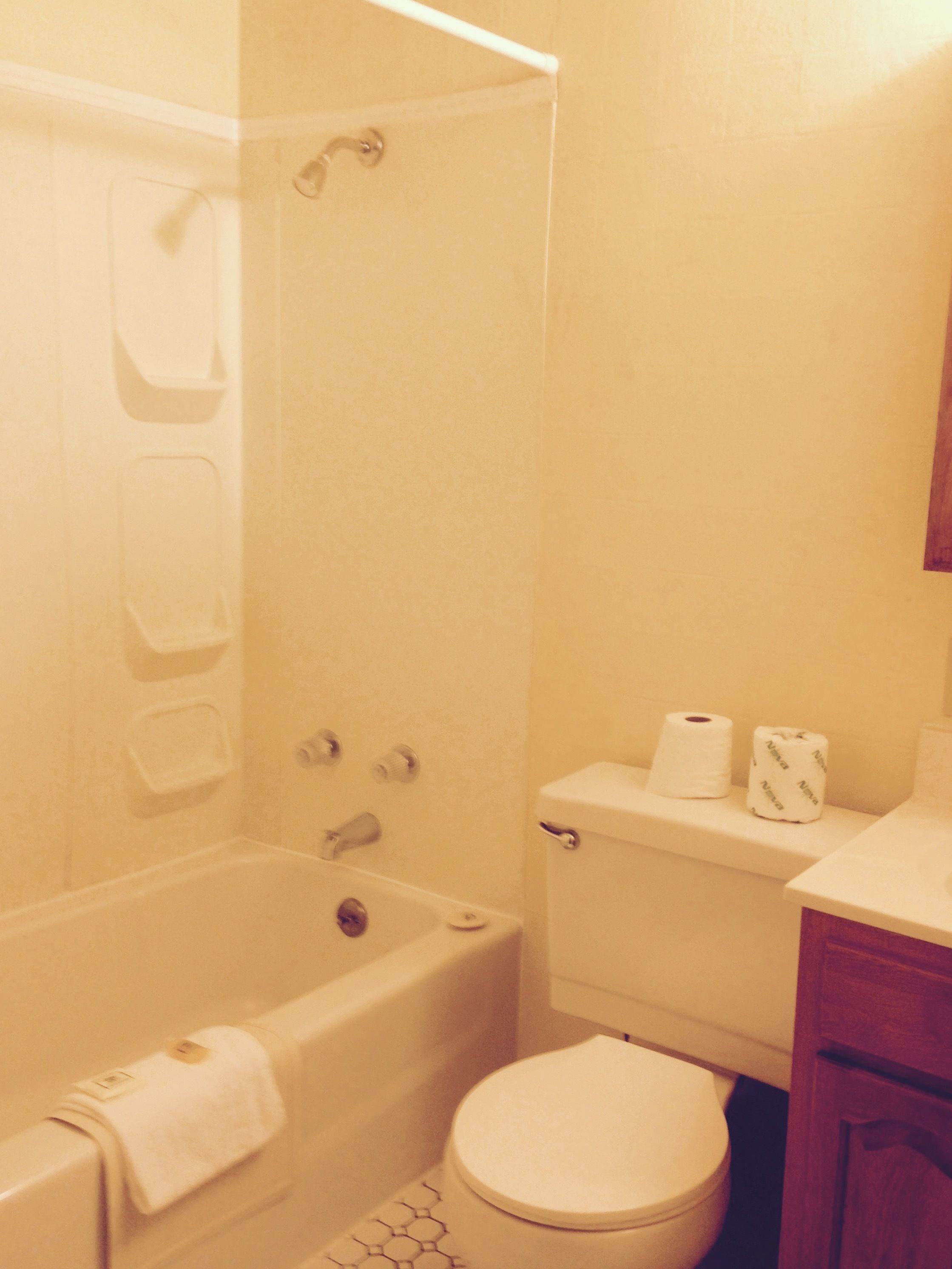combined shower/bathtub, free toiletries, hair dryer, towels