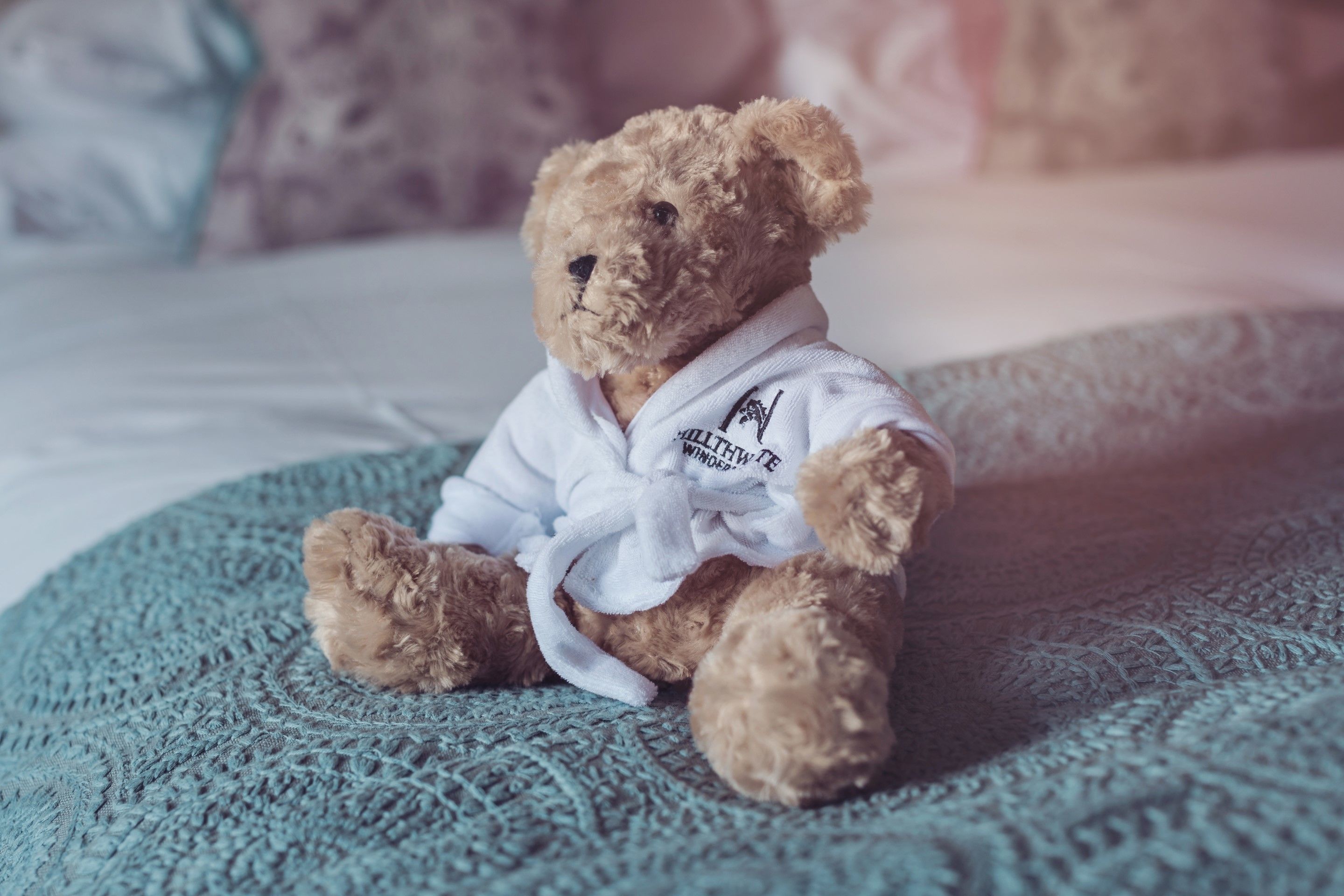 Un oso de peluche con una camisa blanca y texto, sentado sobre una manta azul con textura.