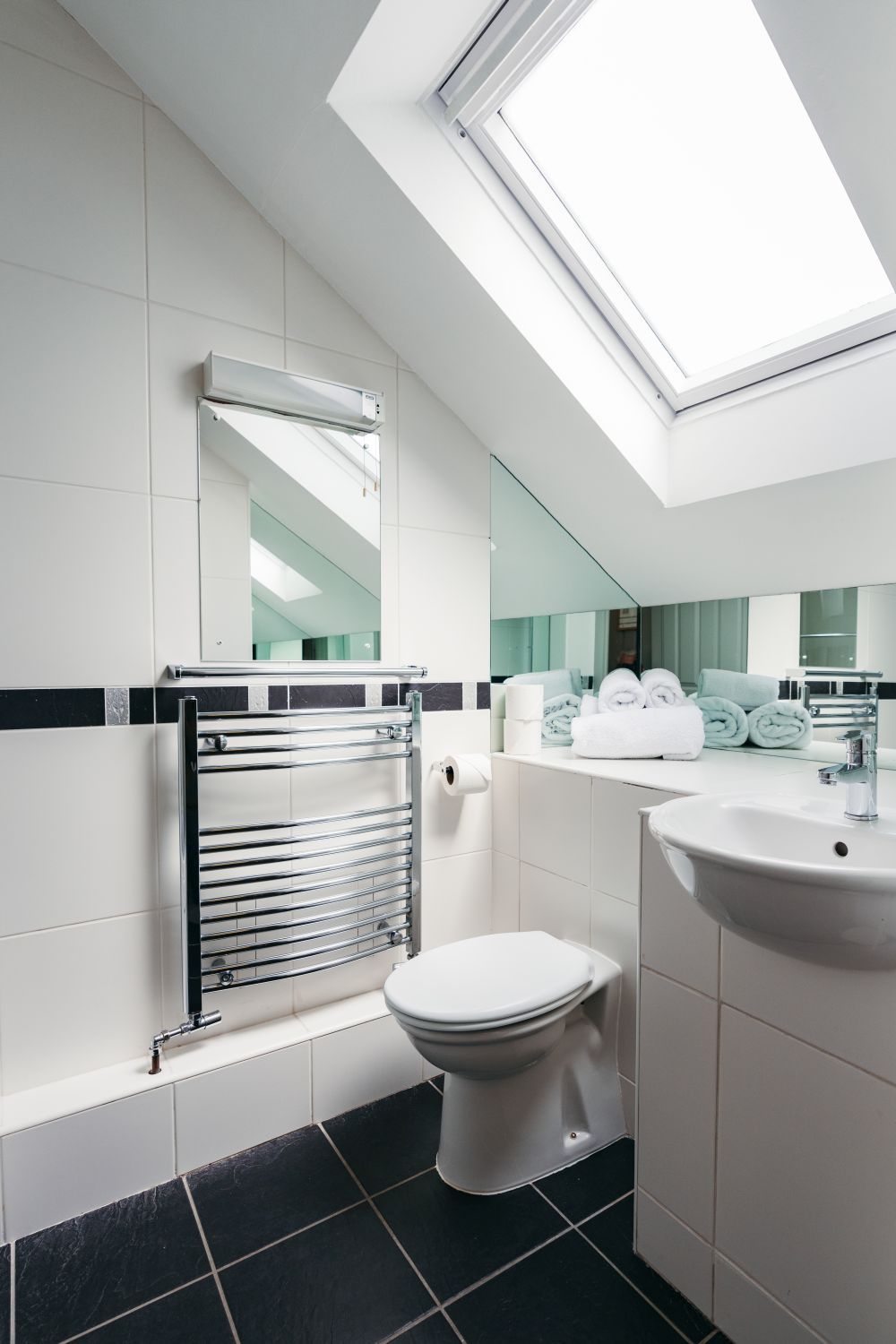 Un baño moderno con tragaluz, un perchero, un inodoro y un lavabo.