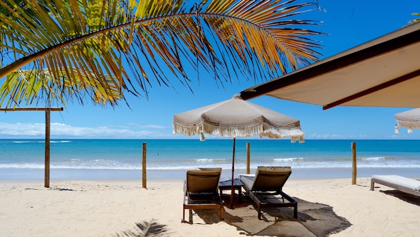 Una playa con dos sillas de playa bajo un paraguas a rayas, una palmera y el océano al fondo.
