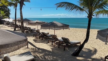 A beach with lounge chairs and umbrellas, palm trees, and a clear view of the ocean.