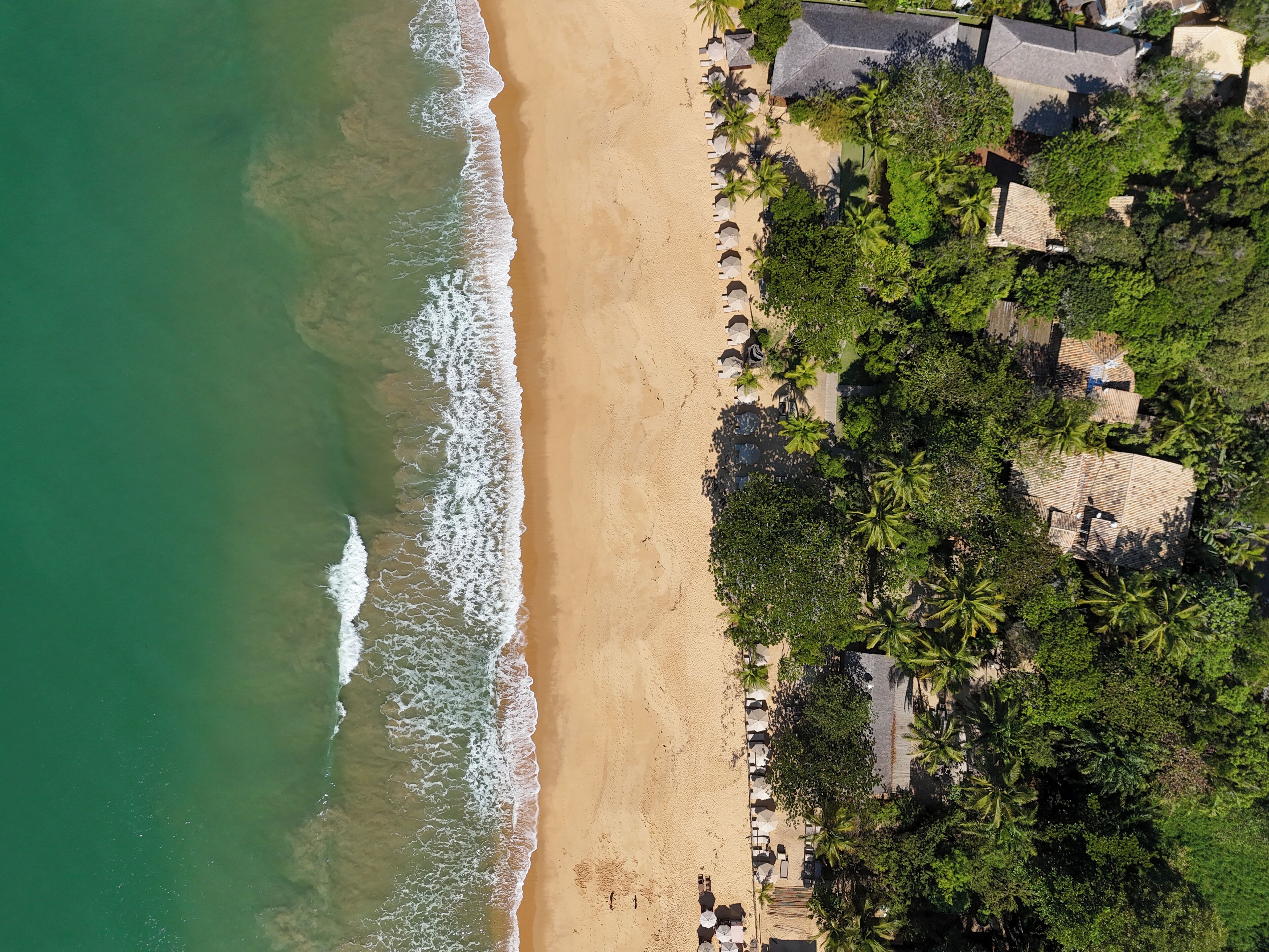 An aerial view of a beach with a row of beach umbrellas and lounge chairs, surrounded by lush greenery and buildings with thatched roofs.