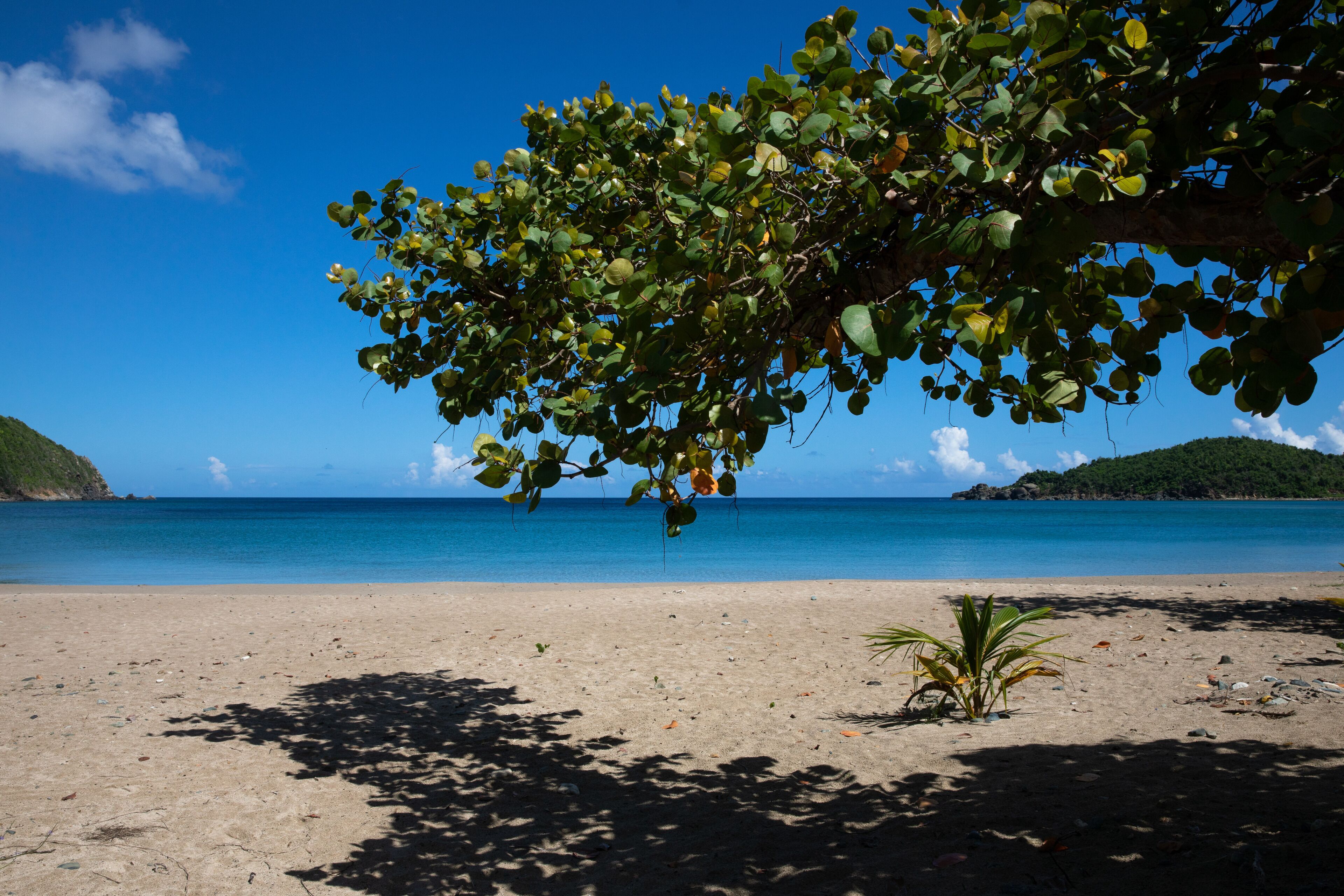 beach nearby, beach towels