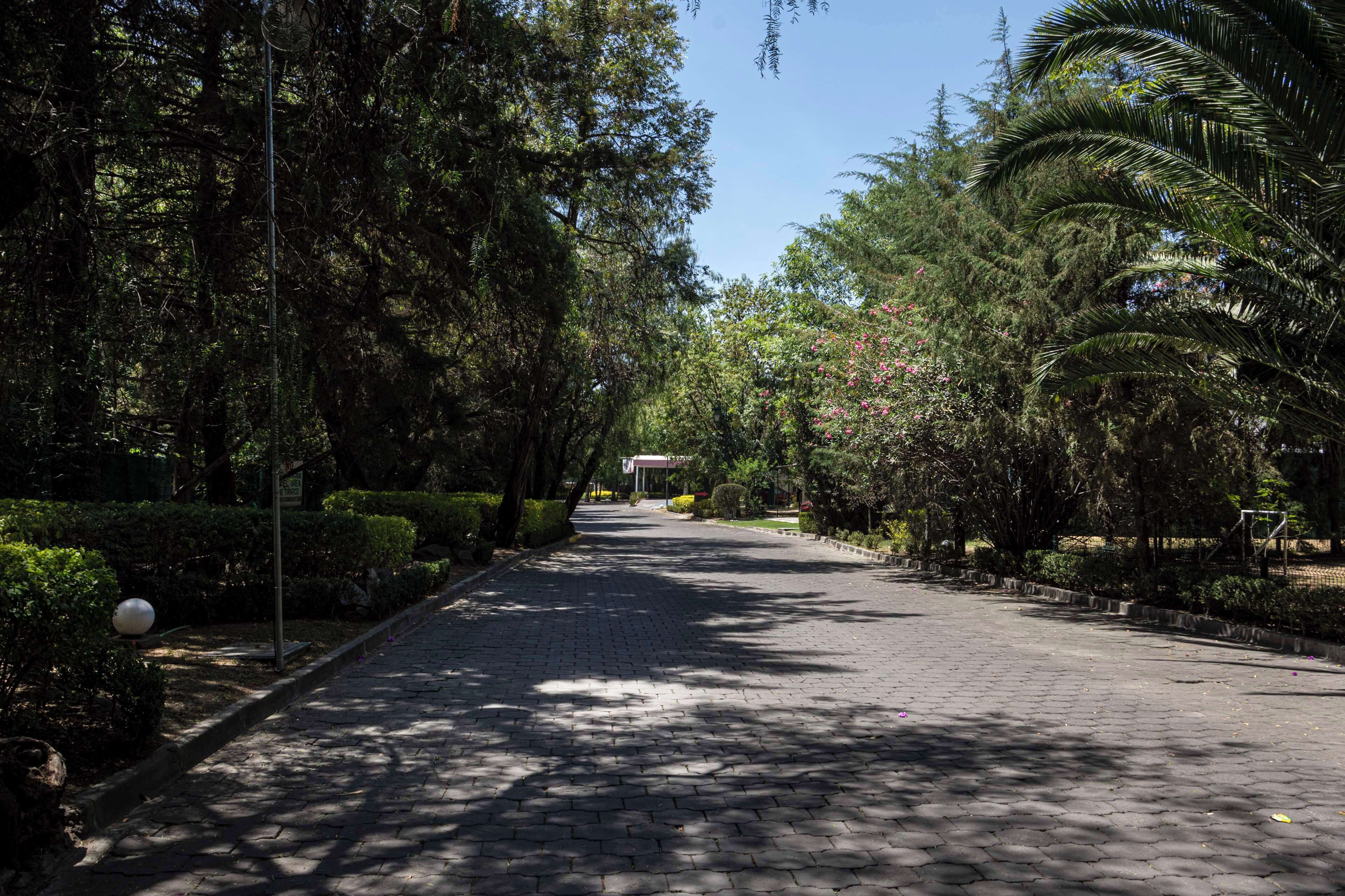 Photo - Hilton MM Grand Hotel Puebla, Tapestry Collection