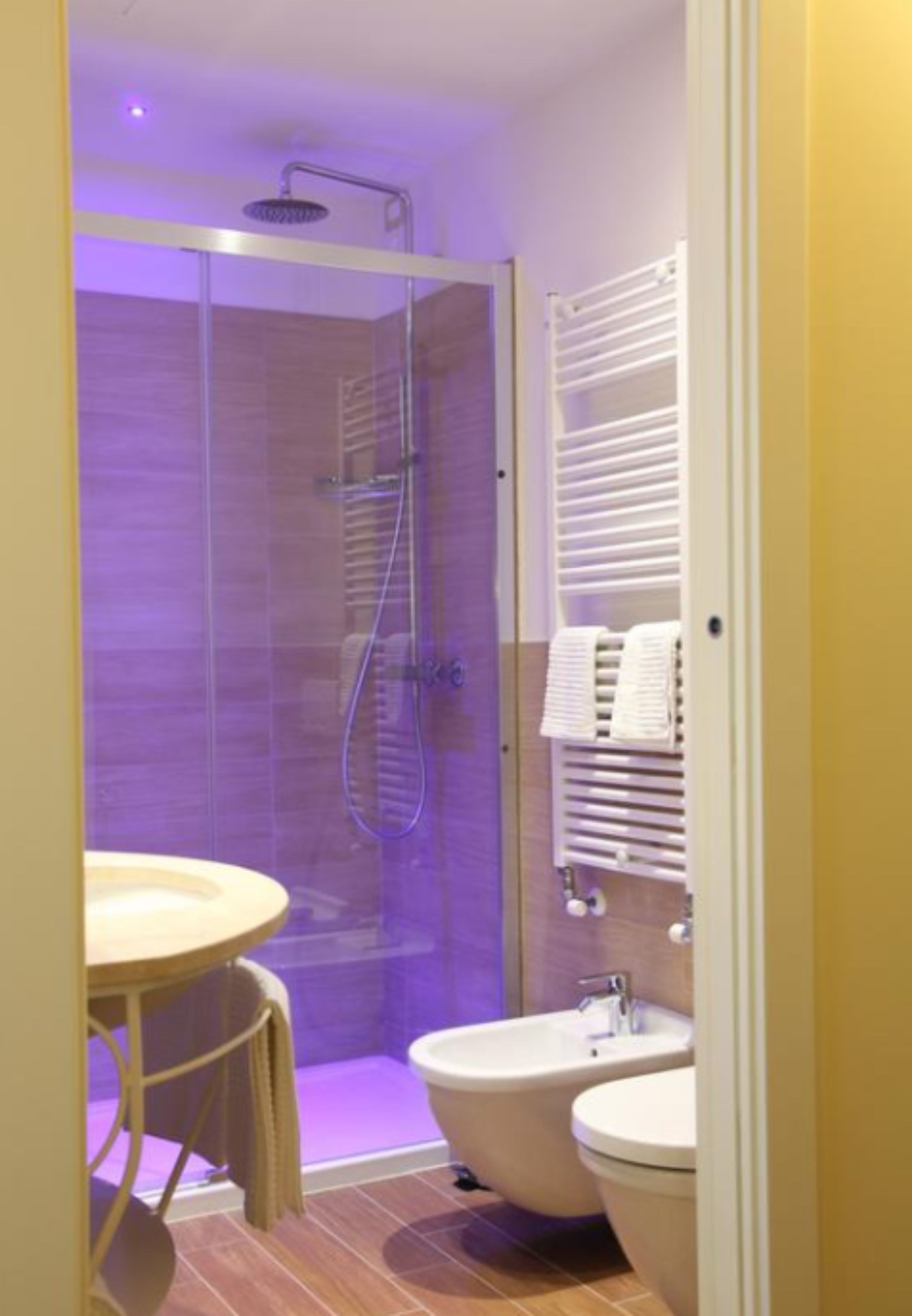 shower, hair dryer, bidet, towels