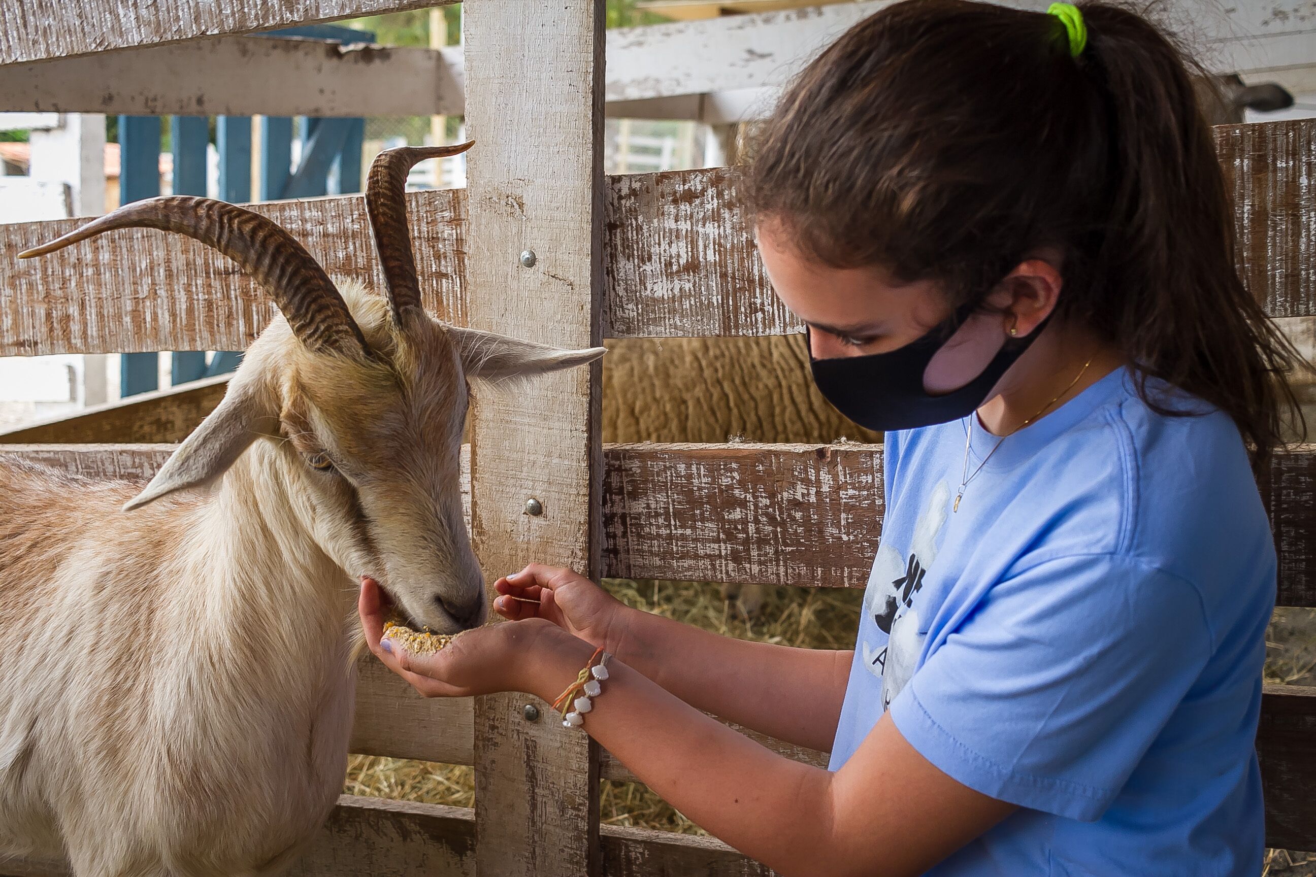 Foto - Hotel Fazenda Dona Carolina