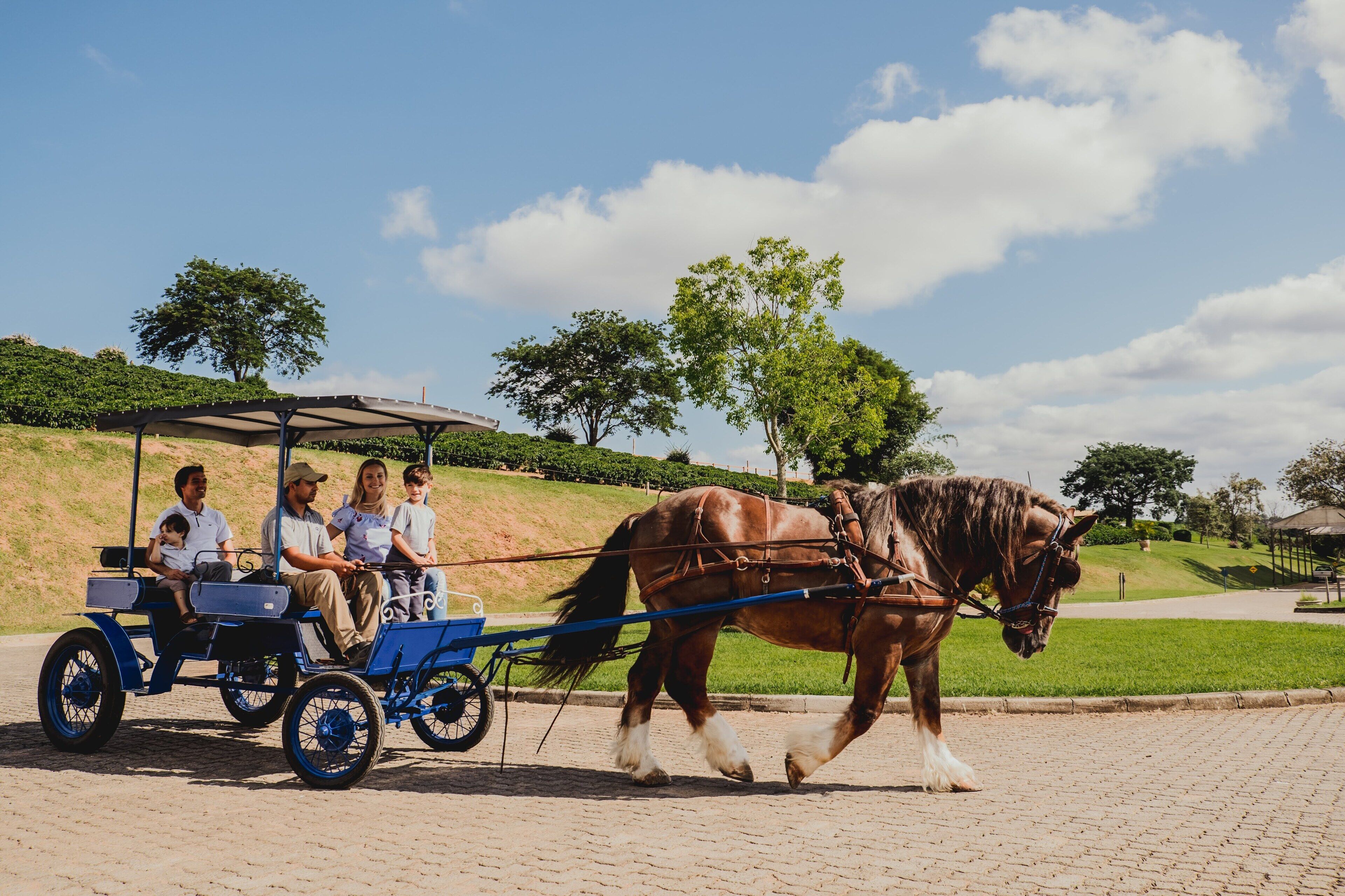 Foto - Hotel Fazenda Dona Carolina