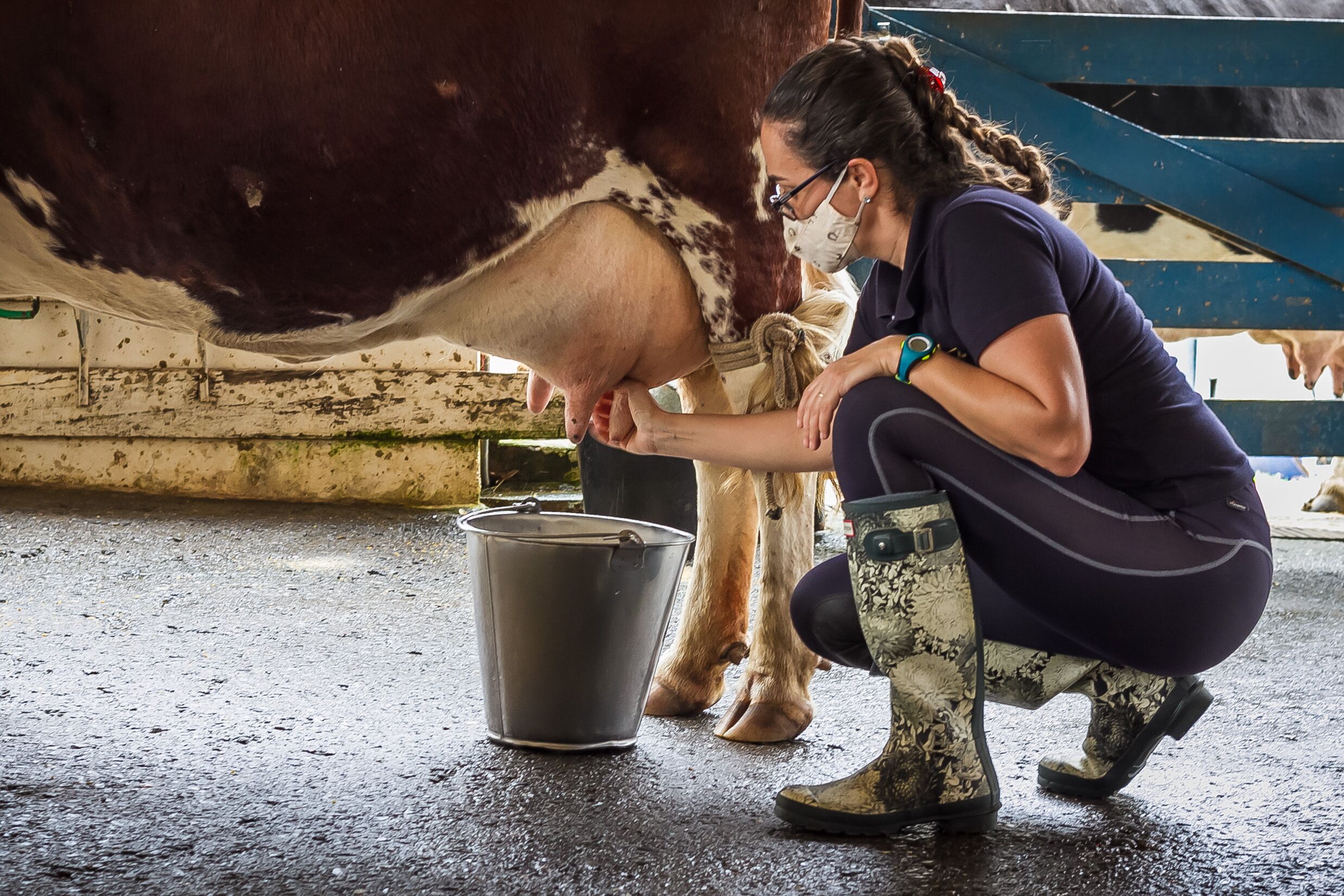 Foto - Hotel Fazenda Dona Carolina