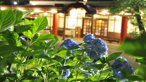 A traditional building with a wooden facade and large windows, surrounded by lush greenery and blue hydrangea flowers. - Arima Kirari (Kobe)