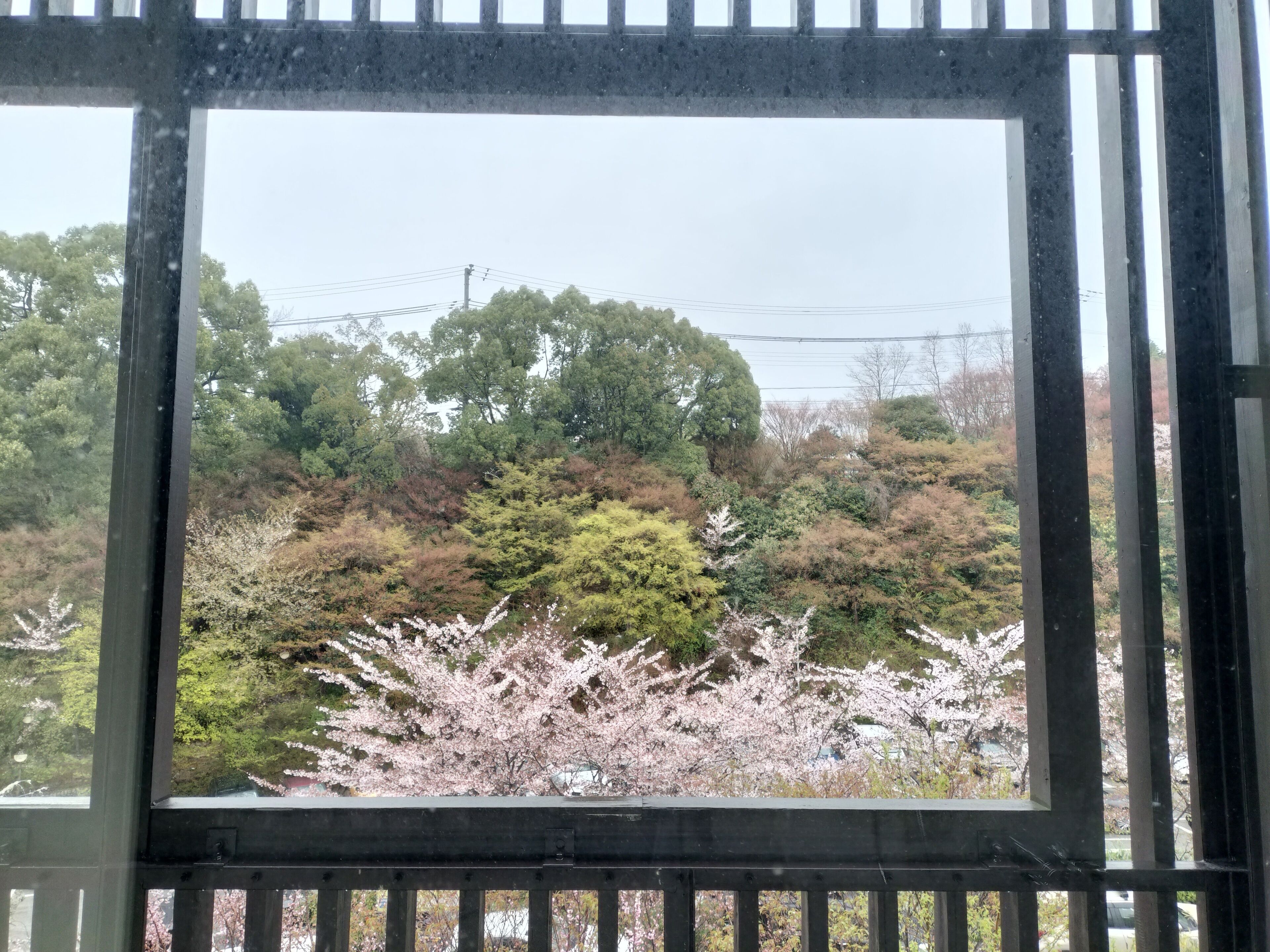 Une vue à travers une fenêtre à cadre métallique, donnant sur un paysage avec des arbres et un bâtiment situé au loin.
