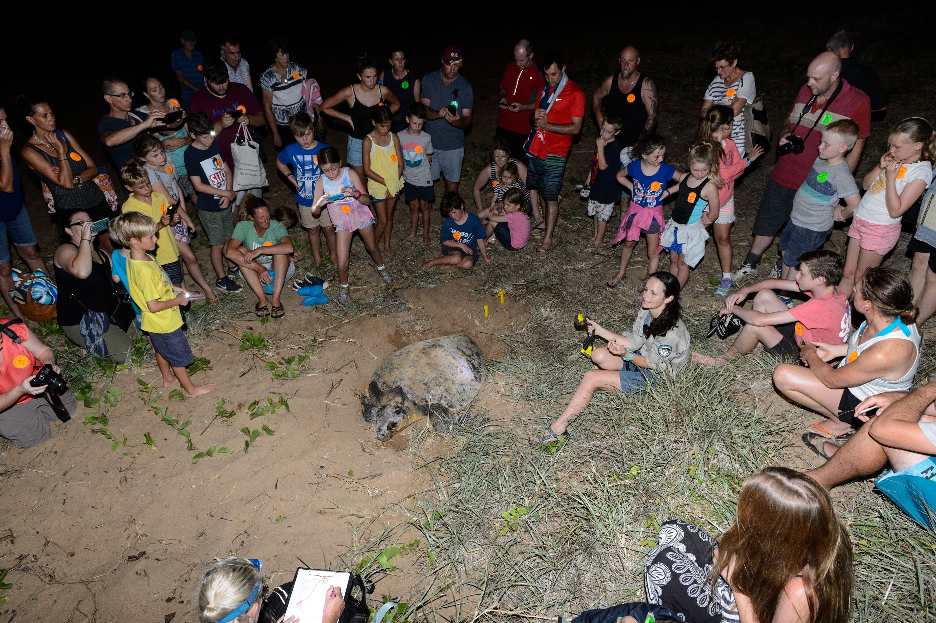 A group of people gathered around a large animal in a sandy outdoor setting.