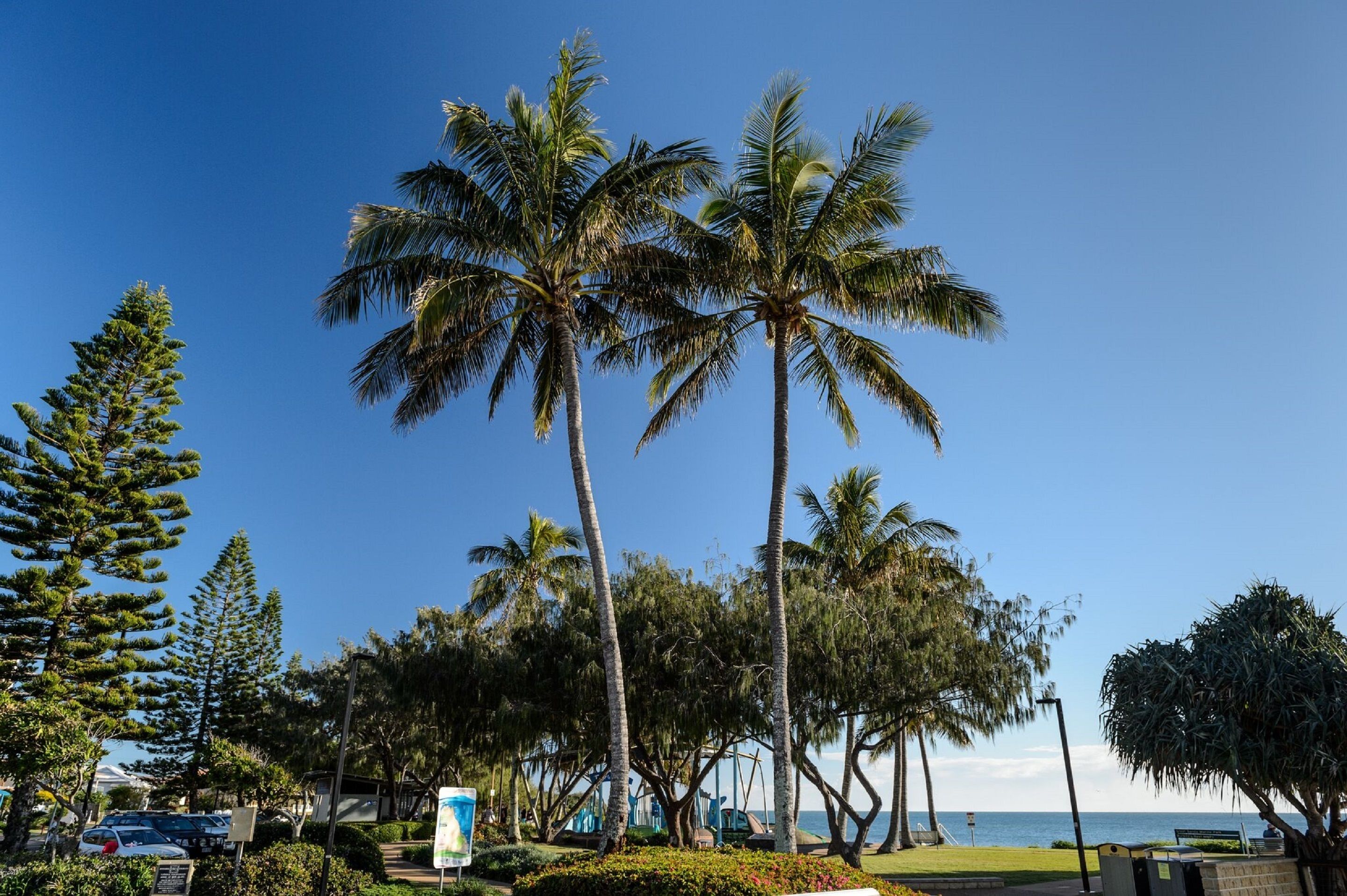 C Bargara Resort — image 27