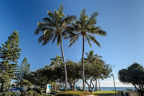 På stranden