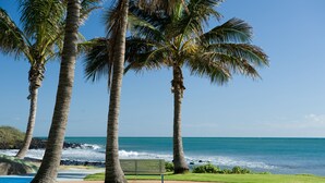 A beach view with palm trees, a bench, and a clear blue sky.
