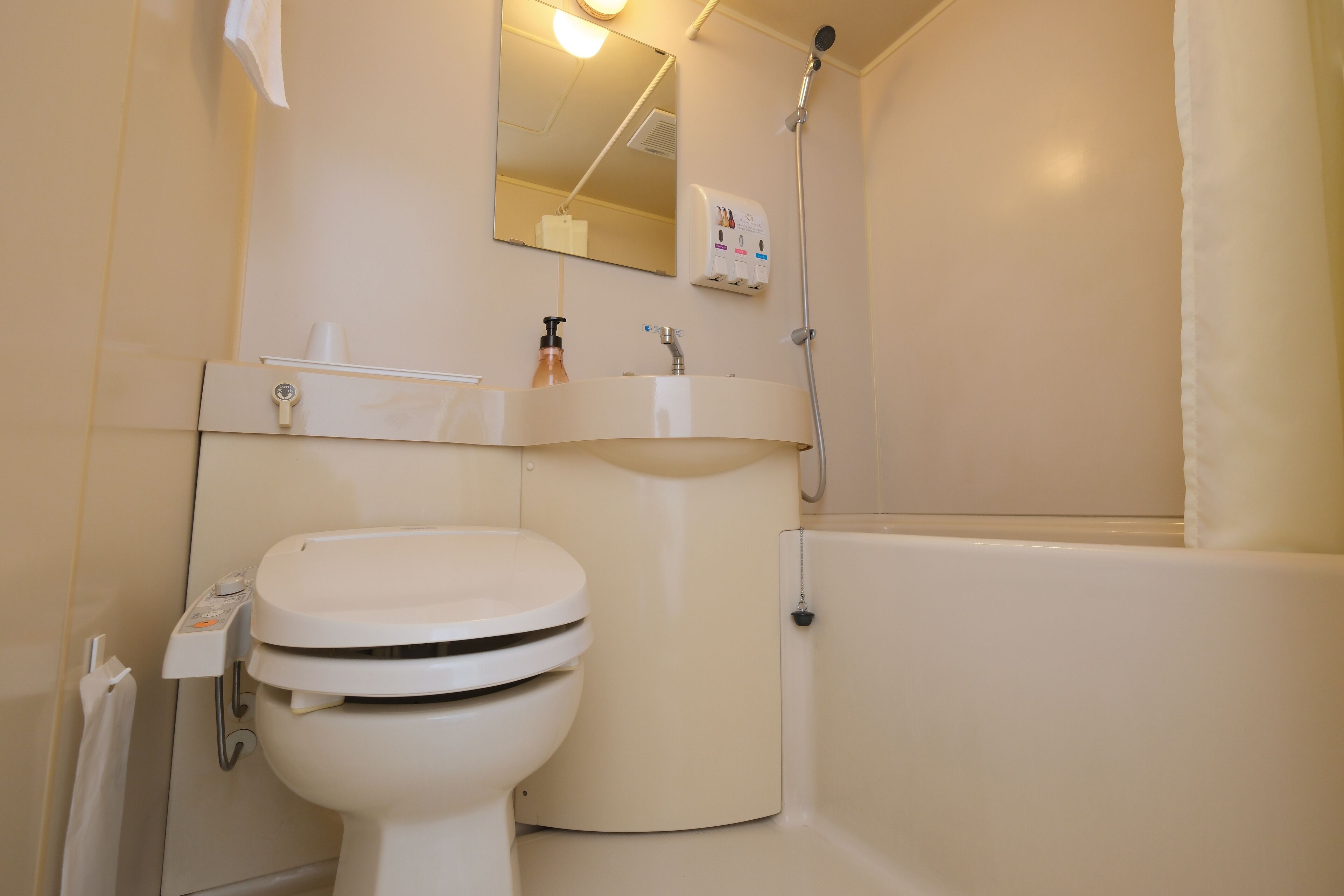 combined shower/bathtub, free toiletries, hair dryer, slippers