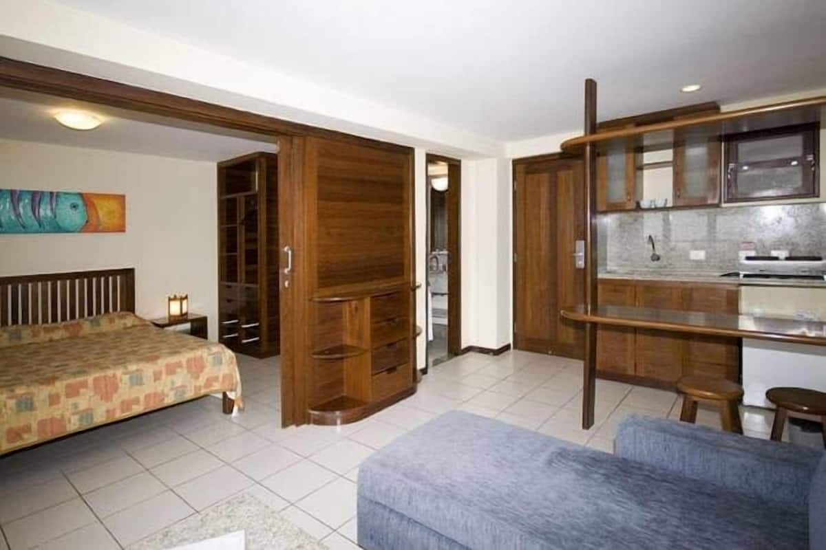 A room with a bed, a sofa, a wooden wardrobe, and a kitchenette.
