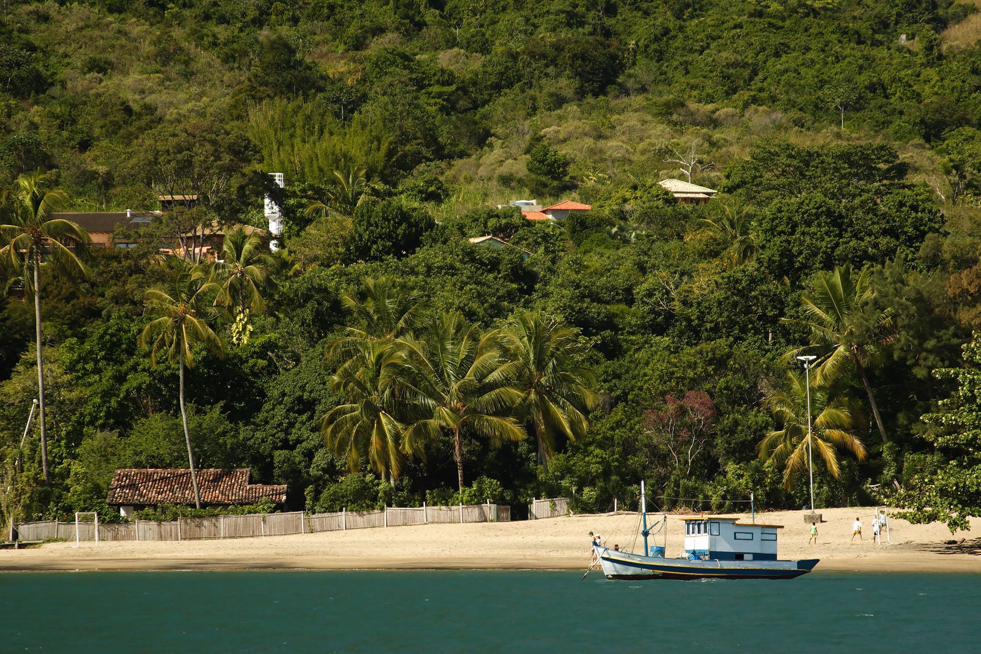 A boat on a calm body of water near a beach with palm trees and houses in the background.
