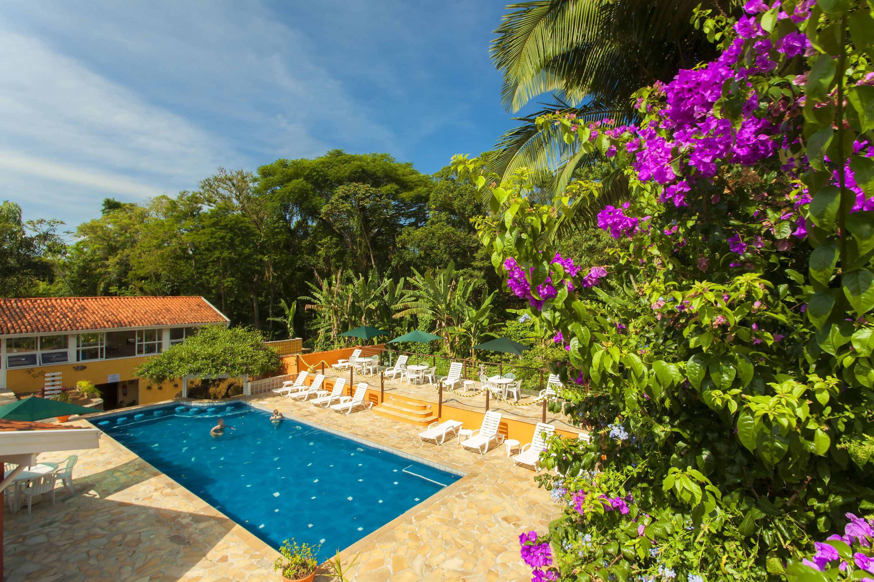 A swimming pool with lounge chairs and umbrellas, surrounded by lush greenery and purple flowers.
