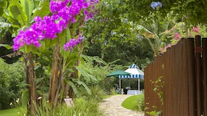 Un chemin de jardin bordé d’une clôture en bois, avec une végétation luxuriante et un parasol bleu et blanc à rayures.