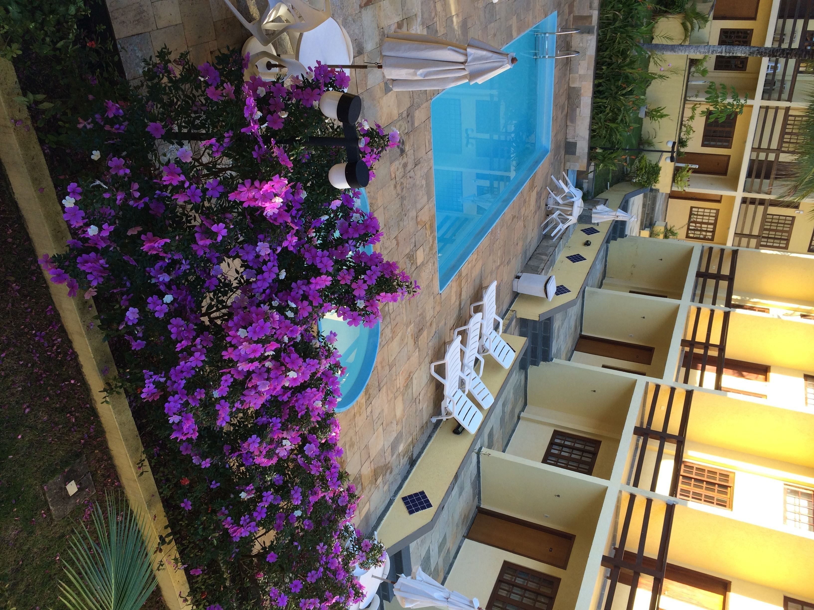 A pool area with a blue pool, white lounge chairs, and purple flowers.