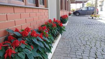 Jardim