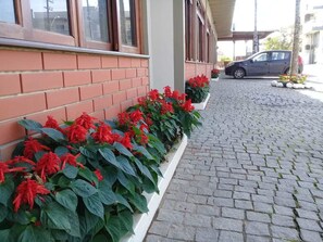 Garden - Hotel Piçarras (Picarras)