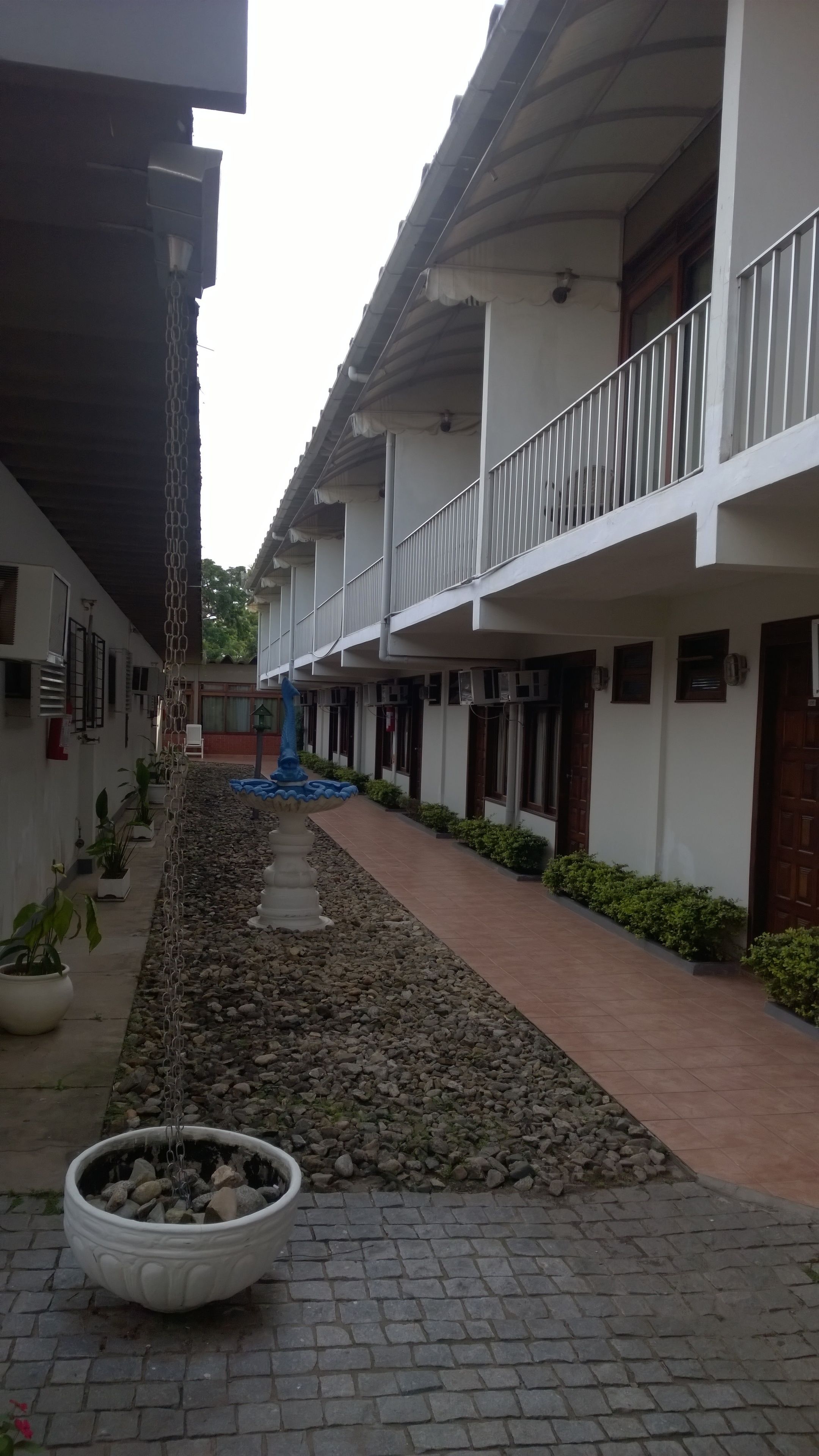 Un patio con un sendero empedrado, plantas en macetas y una fuente decorativa.