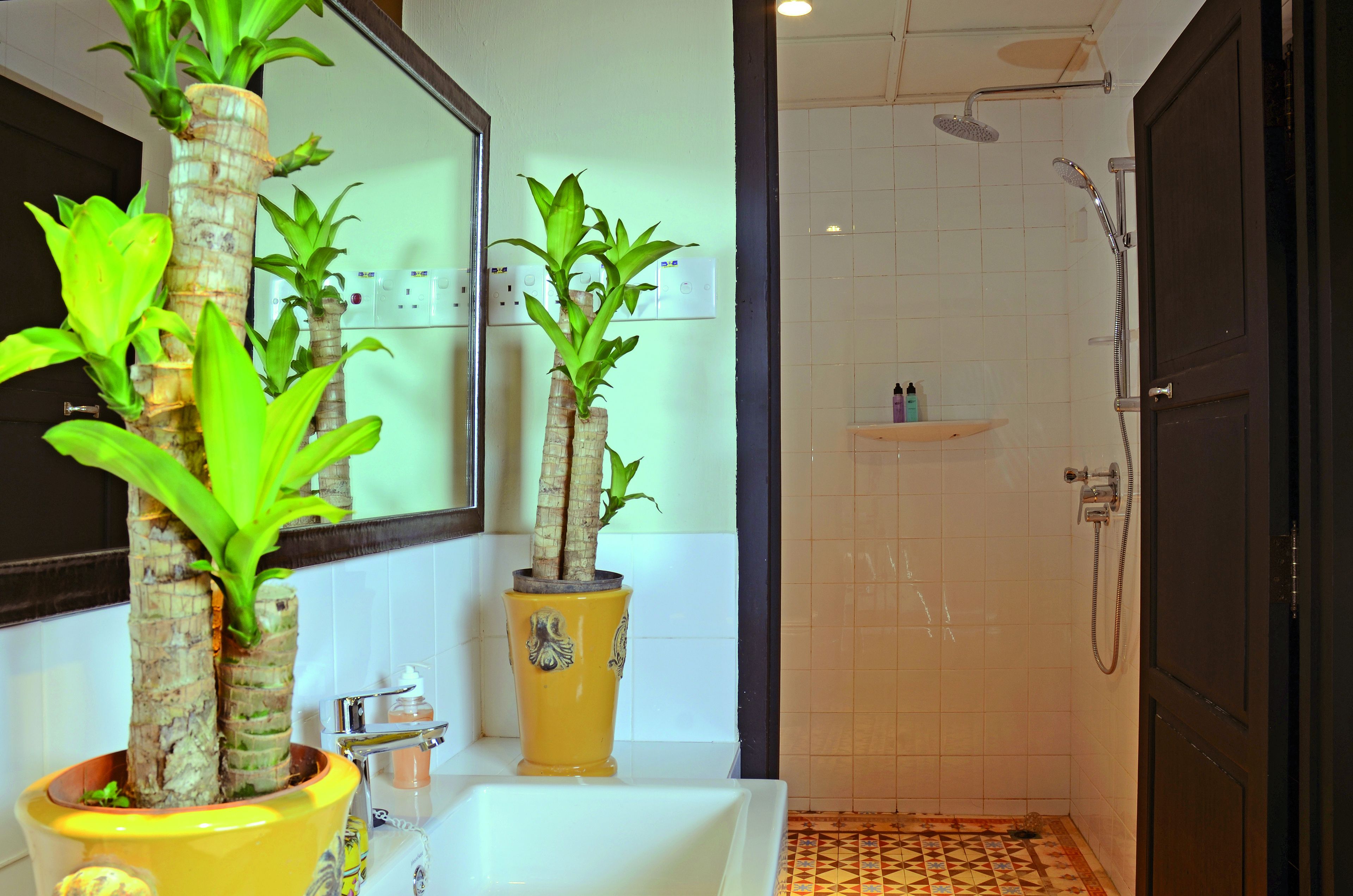 family room | bathroom | shower, free toiletries, hair dryer, slippers