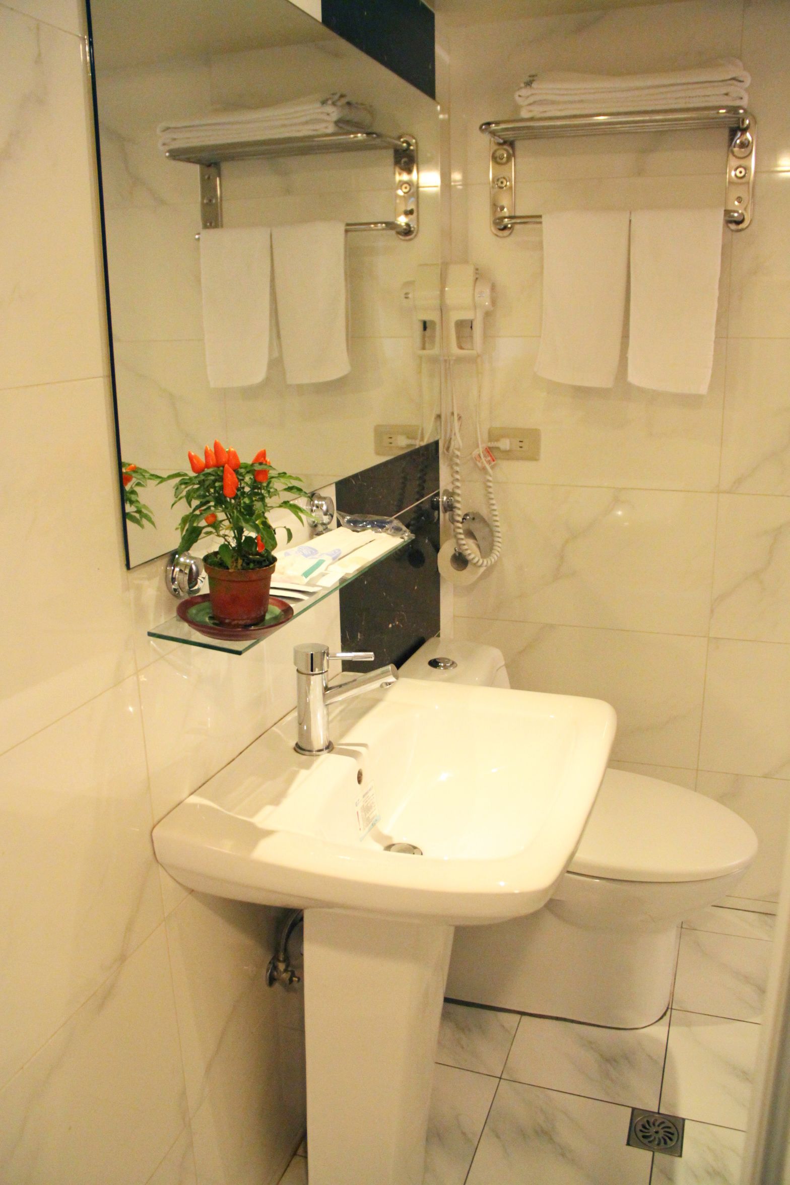 A bathroom with a sink, toilet, and a mirror. There is a plant on the sink and a towel rack above the toilet.