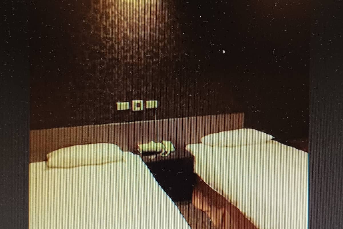 Kamar Twin Basic, 2 Tempat Tidur Twin, tanpa jendela | Minibar, Wi-Fi gratis, dan seprai linen
