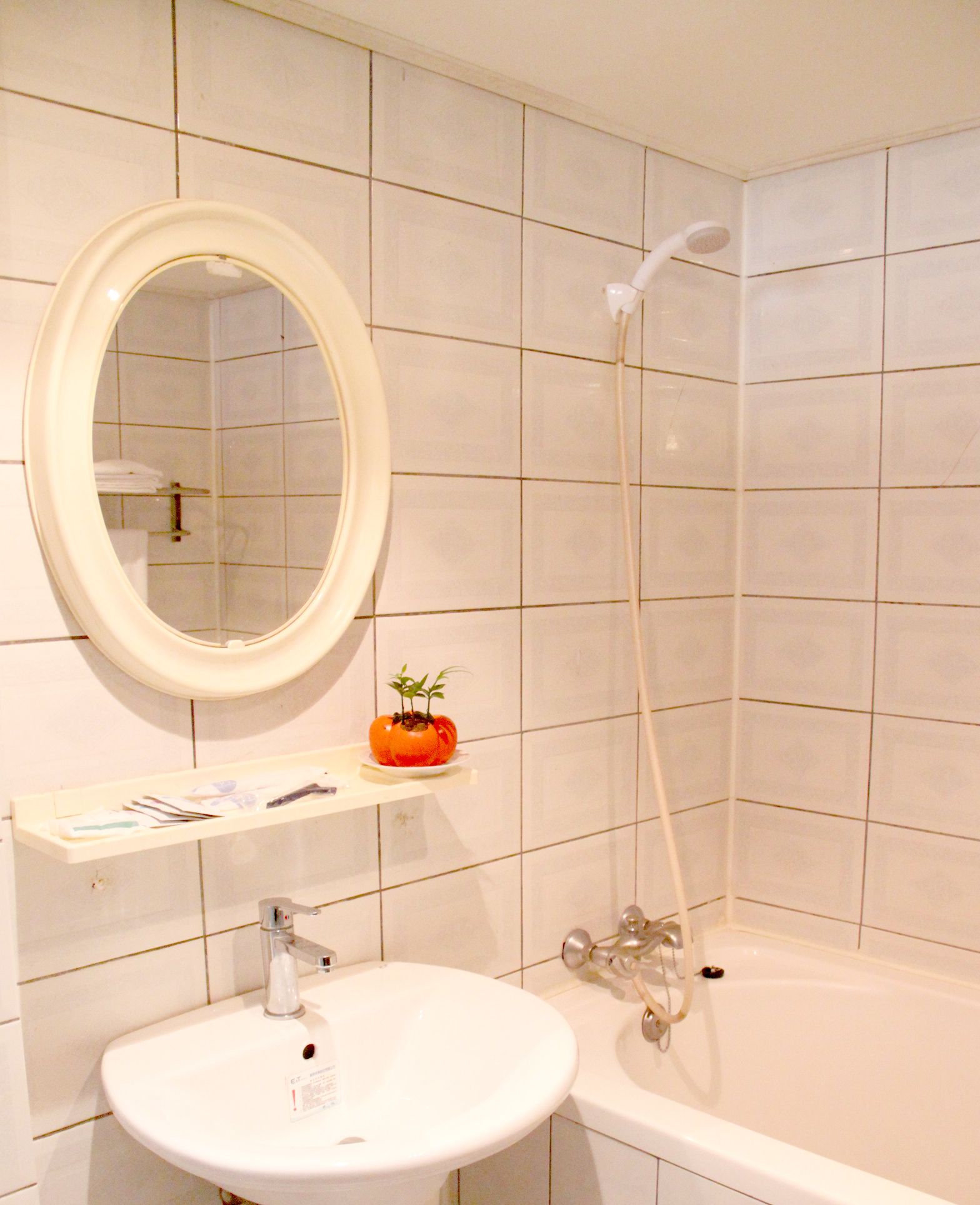 Une salle de bain avec un lavabo blanc, un miroir, une douche et une petite étagère contenant des articles de toilette.