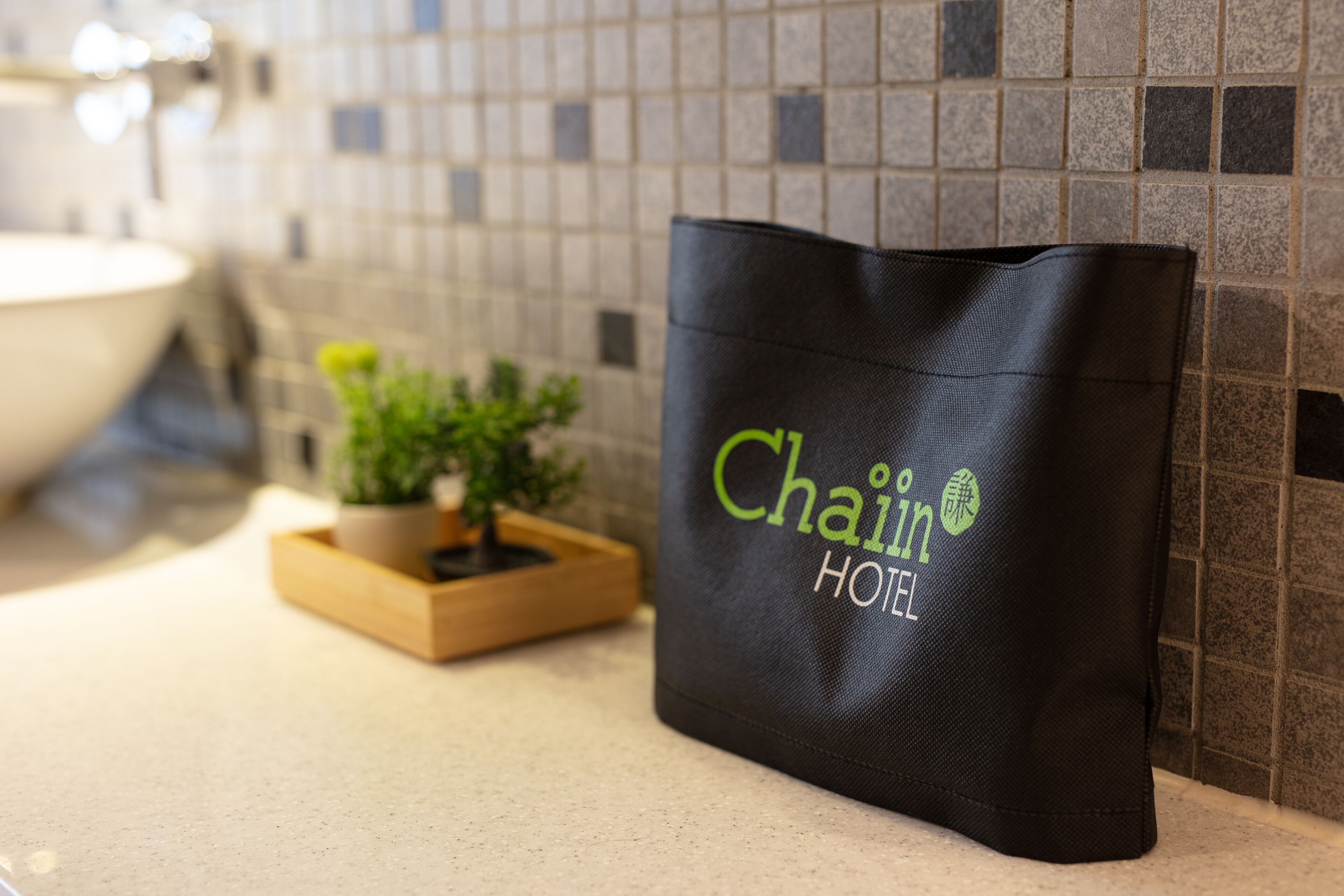 economy single room, no windows | bathroom | hair dryer, slippers, towels, shampoo