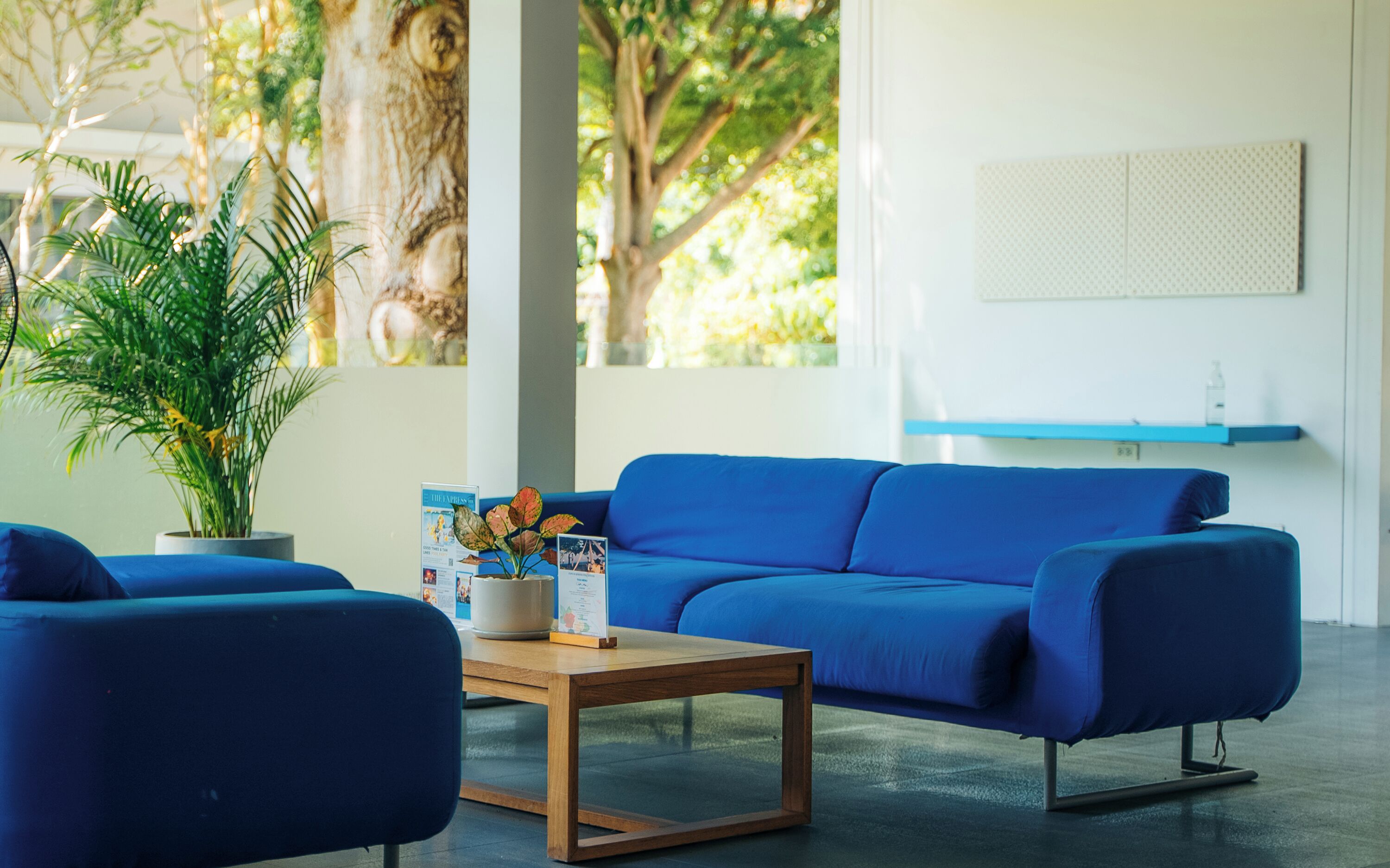 Una sala de estar moderna con un sofá azul, una mesa de centro de madera y una planta en maceta.
