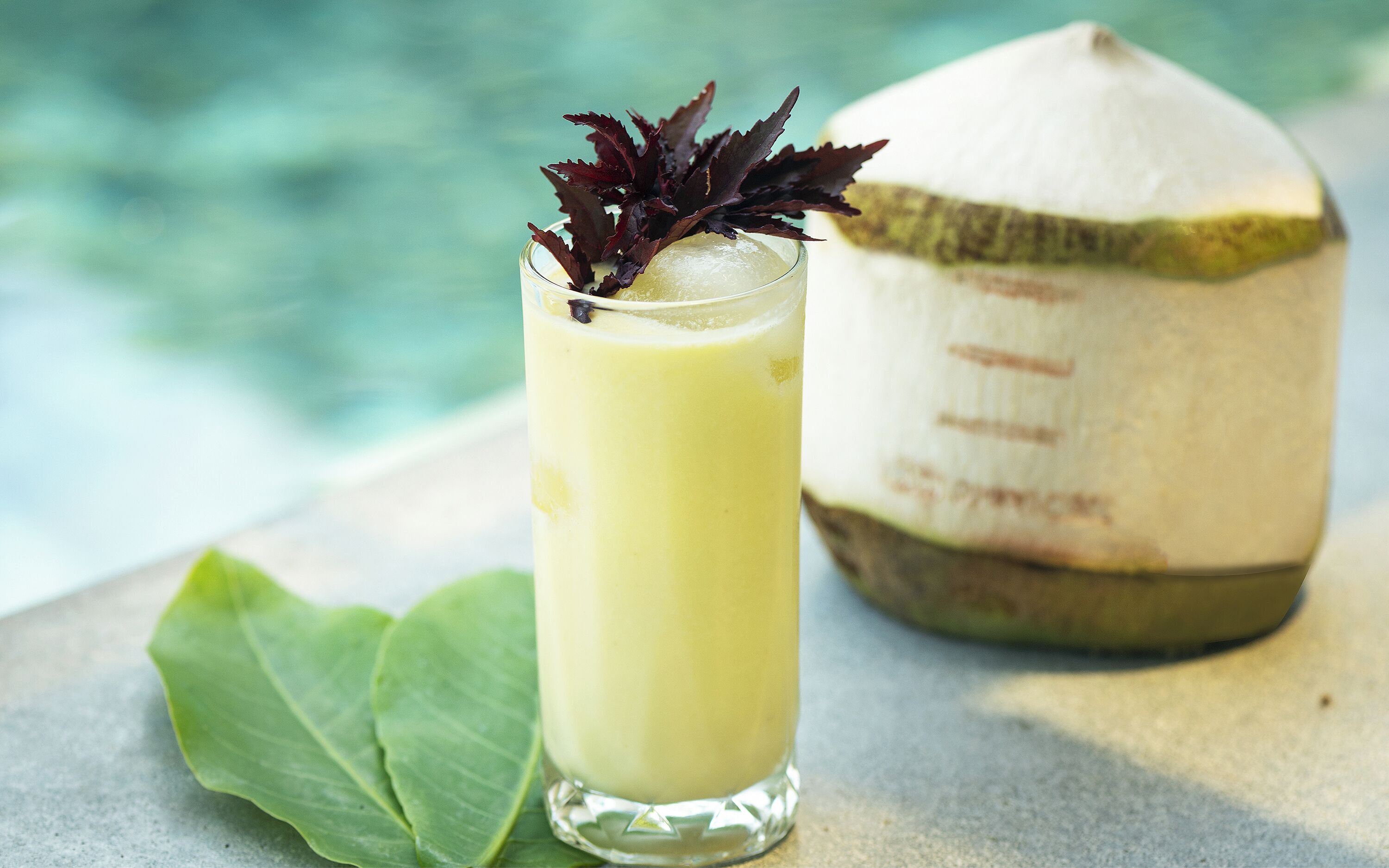 A glass of yellow beverage with a decorative leaf, a whole coconut, and a green leaf on a surface near a body of water.