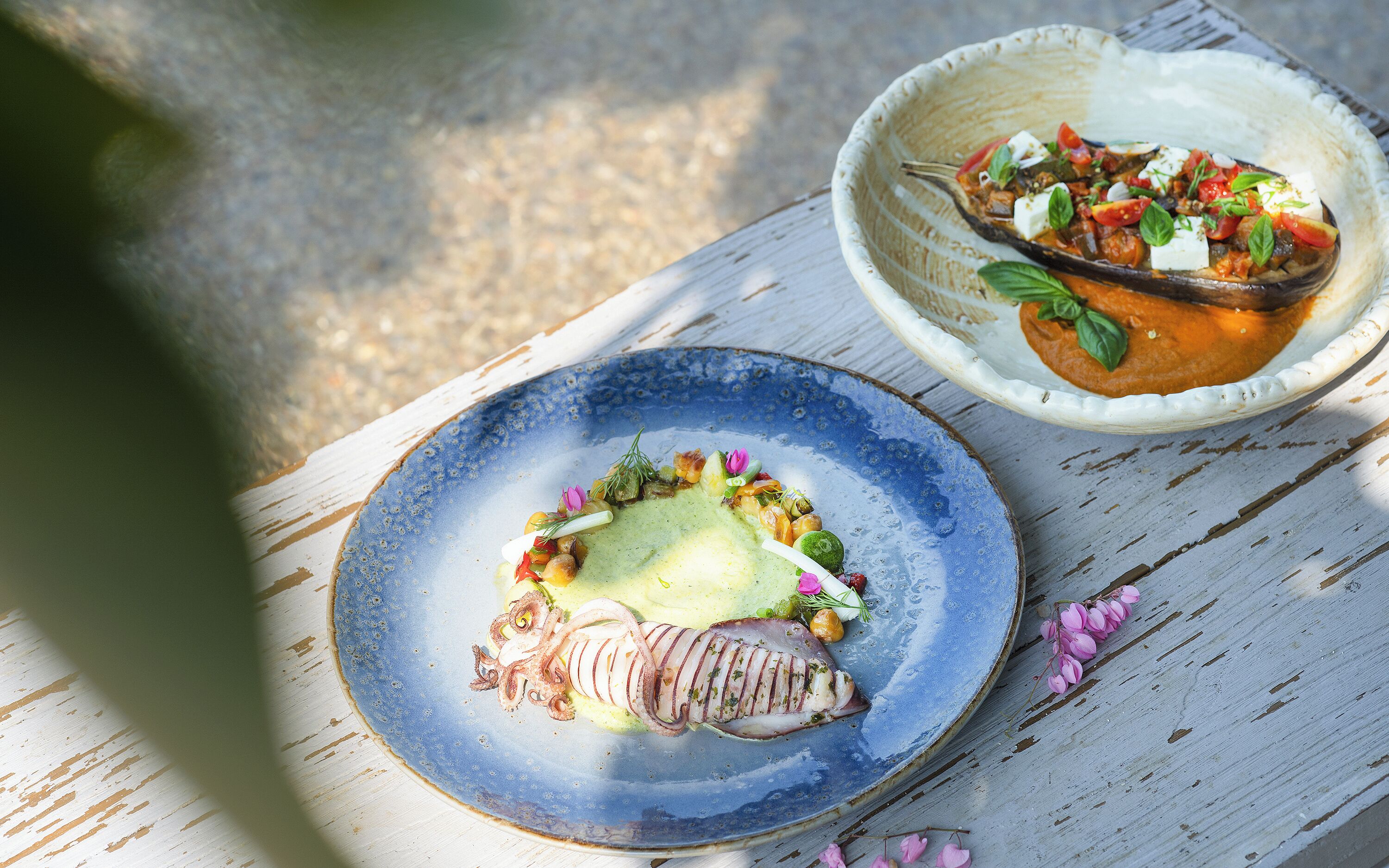 A rustic wooden table with two plates of food. One plate has a seafood dish with a creamy sauce, and the other has a vegetable dish with tomatoes and herbs.