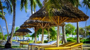 Una spiaggia con ombrelloni di paglia e lettini di legno.