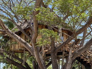 Casa de árbol panorámica, para no fumadores, vista al océano | Vista desde la habitación