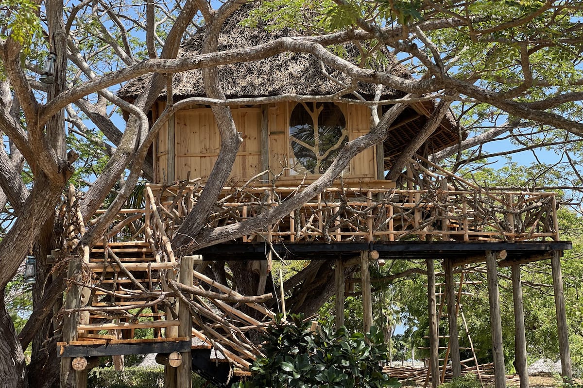 A treehouse with a wooden structure, built into a large tree, featuring a platform and a staircase.