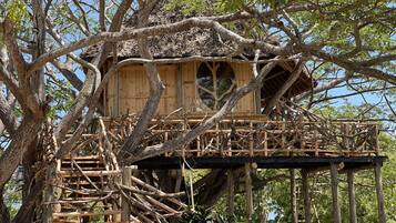 A treehouse with a wooden structure, built into a large tree, featuring a platform and a staircase.